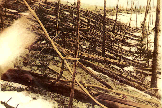 Trees were knocked down and burned over hundreds of square km by the Tunguska meteoroid impact